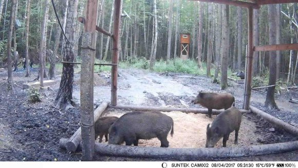 Фотоловушка HC-550M