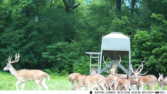 Фотоловушка HC-900A
