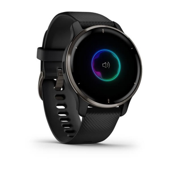 Спортивные часы Garmin VENU 2 PLUS